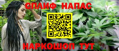 дурь Кингисепп